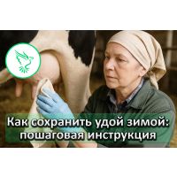 Как сохранить удой у коровы осенью и зимой: пошаговая инструкция для фермера